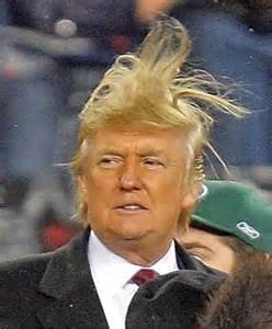 trumps-hair